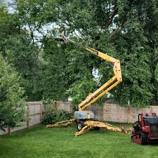 Reliable Rancho Cordova, CA  Tree Services Solutions